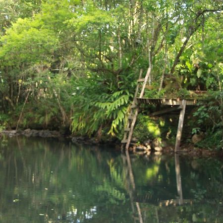 Casa De Campo - Sitio Da Tia Vera Villa Maquiné Eksteriør bilde
